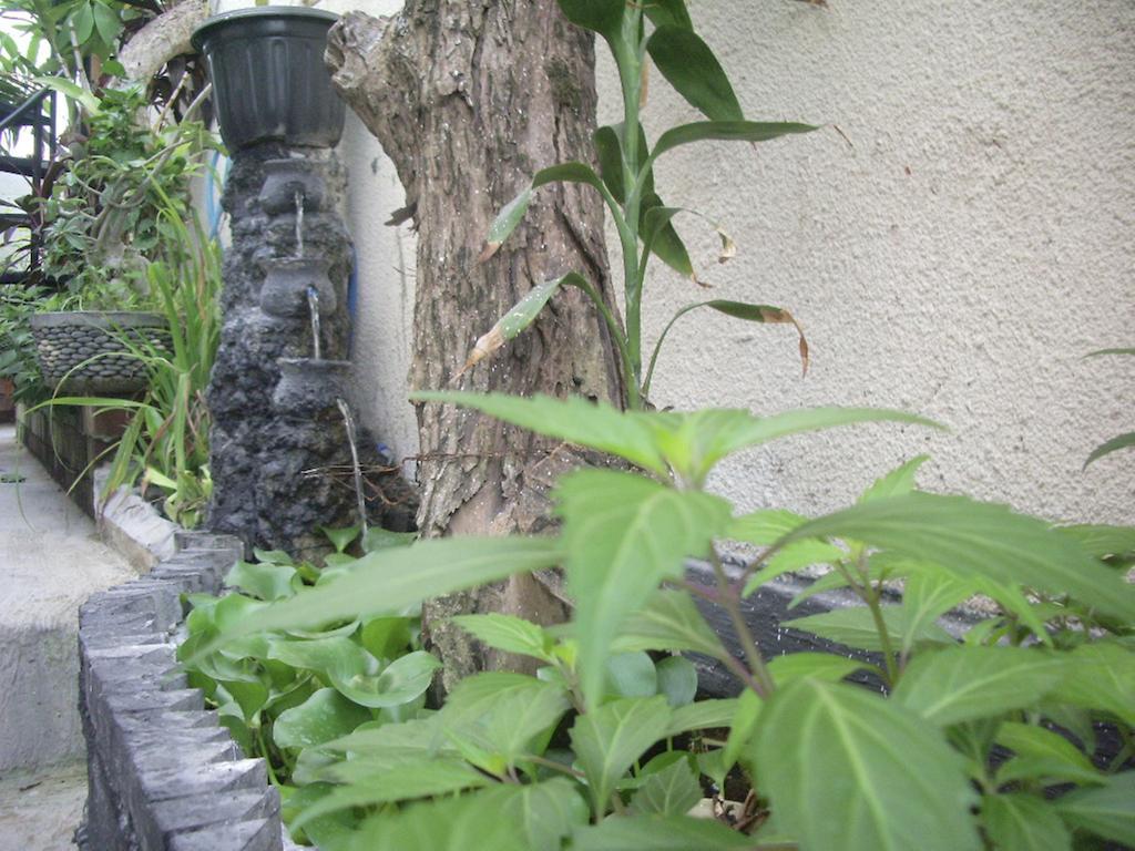 Gusti Homestay Kerobokan Kerobokan (Bali) Exterior photo